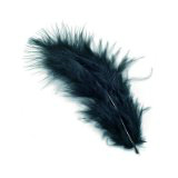 plumes noires